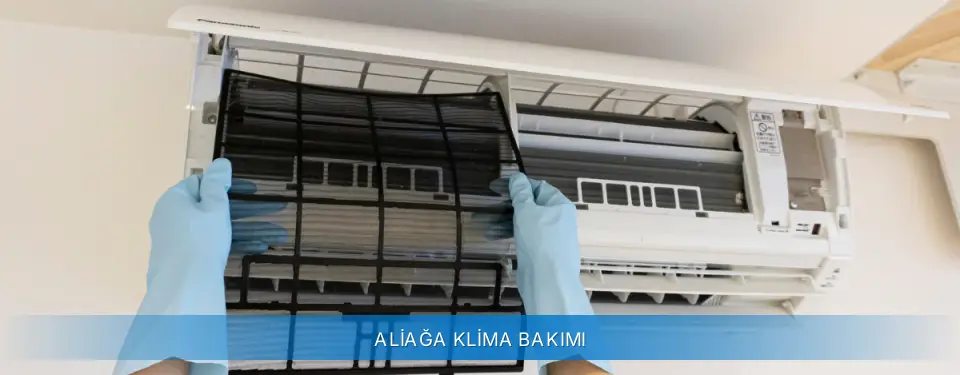 Aliağa İlçemi Carrier Klima Bakımı